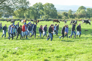 Beef Transparency Report shows No Justification for Lack of Support on Bull Beef